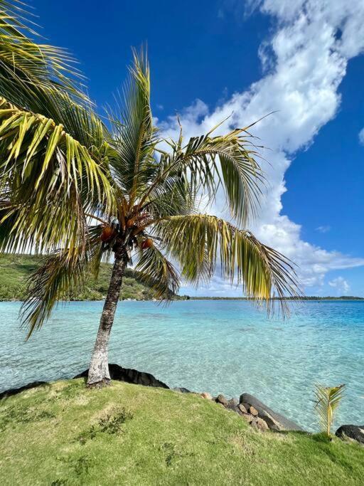 Waterfront Paradise 2 Br; Stunning Sunsets Bora Bora Esterno foto