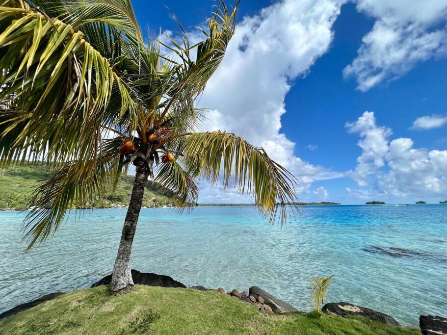 Waterfront Paradise 2 Br; Stunning Sunsets Bora Bora Esterno foto